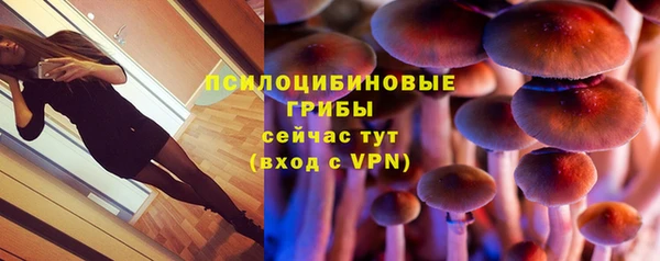 apvp Алексеевка