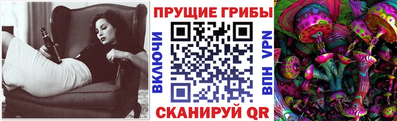 Псилоцибиновые грибы мицелий  Казань 