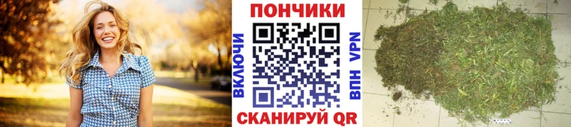 shop наркотические препараты  mega как зайти  Казань  Бошки Шишки Bruce Banner 